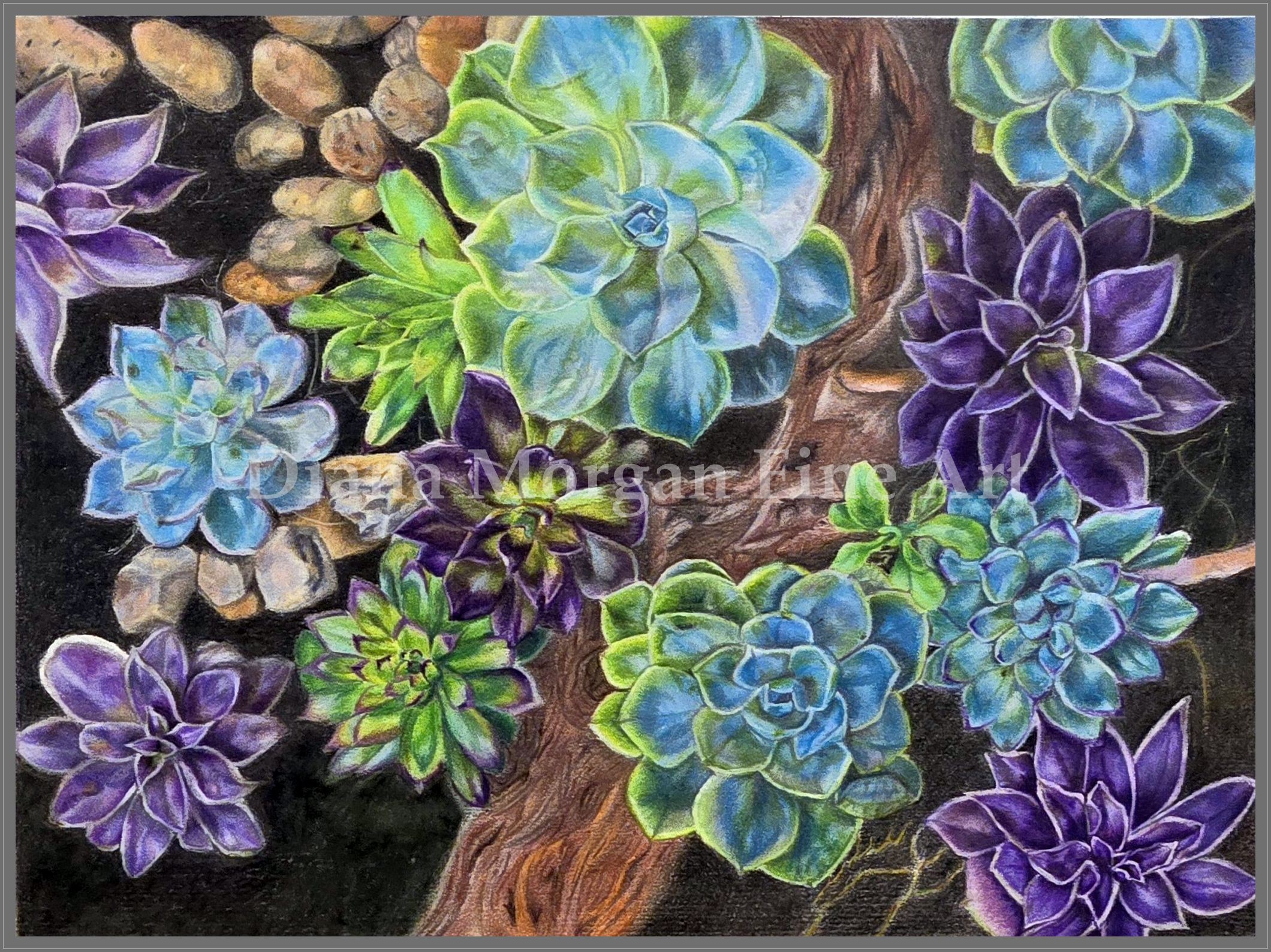 Succulents I